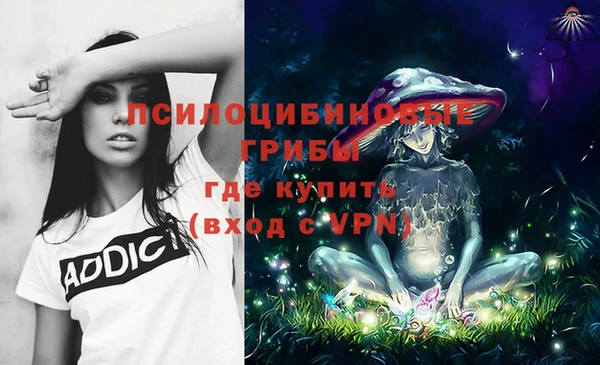 не бодяженный Белокуриха