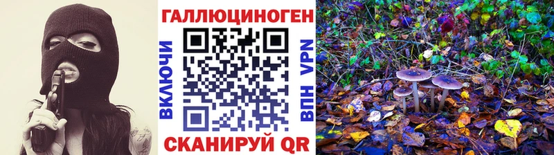 ОМГ ОМГ онион  Вяземский  Галлюциногенные грибы Psilocybine cubensis 